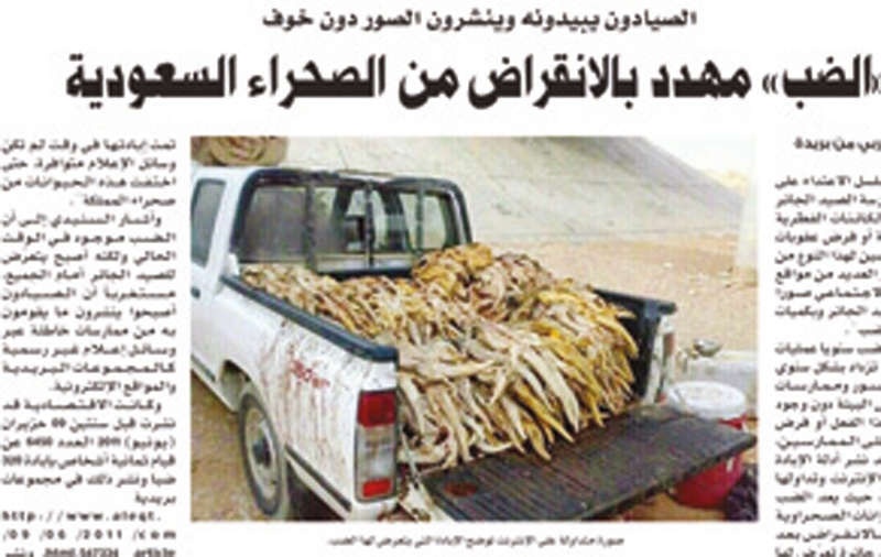 تفاعلات أون لاين