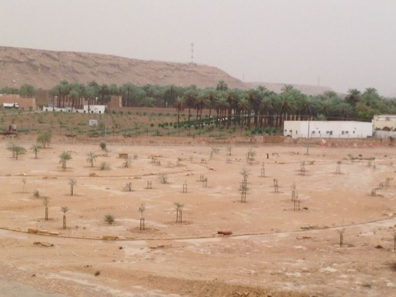 هطول أمطار غزيرة على الرياض