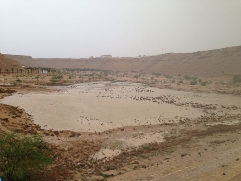 هطول أمطار غزيرة على الرياض