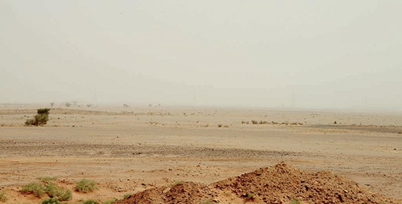 «الإسكان» تتحرَّك لتطوير 58 ألف قطعة أرض في حائل