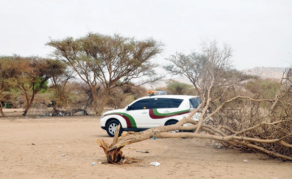 حملة لضبط المحتطبين في نجران