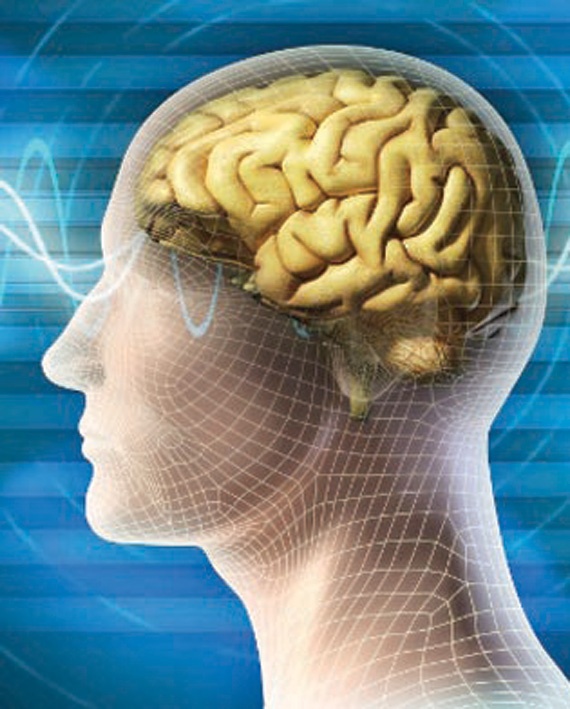 اكتشاف مكان التخيُّل في المخ