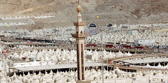 «الهيئة التنسيقية لمؤسسات أرباب الطوائف» .. 25 عاماً في خدمة ضيوف الرحمن