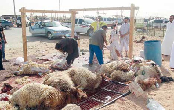 مسالخ في أحياء الرياض