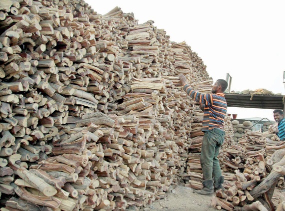 سوق الحطب في الرياض ..اقترب «البرد» فارتفع الطلب