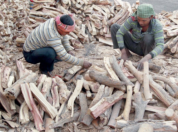 سوق الحطب في الرياض ..اقترب «البرد» فارتفع الطلب