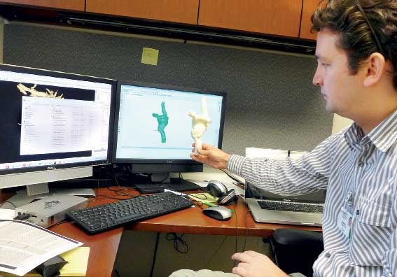 أطراف وأعضاء الطابعات ثلاثية الأبعاد الجسدية .. حقيقة أم خيال؟