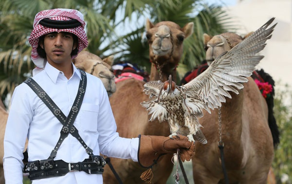 قصة مصورة: قطر تحتفل باليوم الوطني