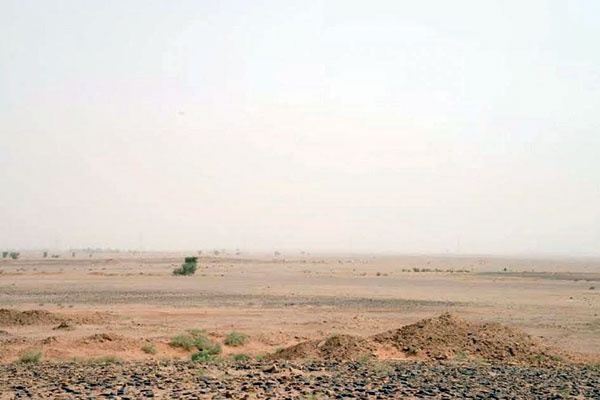 «الإسكان» تعتزم اختيار 4 شركات لتطوير أرض «الدفاع» في حائل