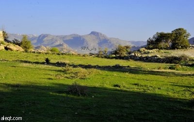 قصة مصورة : تنومة .. طبيعة تسر الناظرين