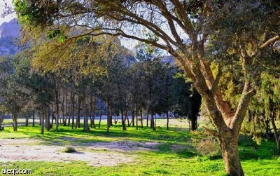 قصة مصورة : تنومة .. طبيعة تسر الناظرين