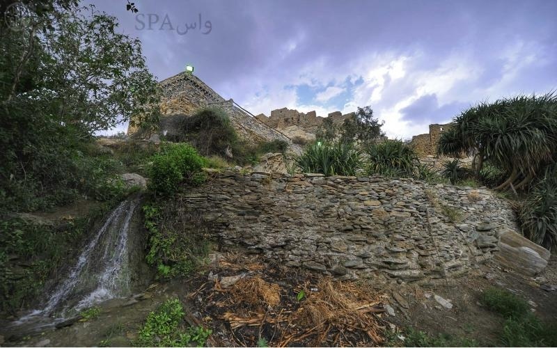 قصة مصورة : الموز والكادي... مصدر اقتصادي لأهالي قرية ذي عين التراثية