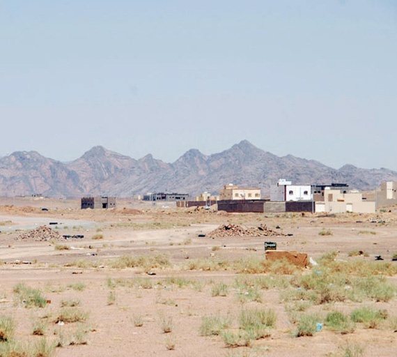 قانون زكاة الأراضي يوفر آلافا من الفرص الوظيفية.. وسيضاعف من القنوات الاستثمارية