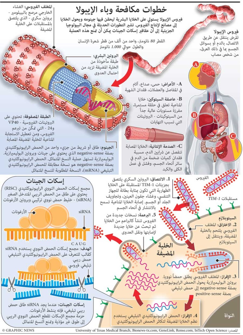 خطوات لمكافحة فيروس الايبولا
