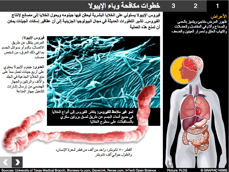 جراف يوضح خطوات مكافحة وباء الإيبولا