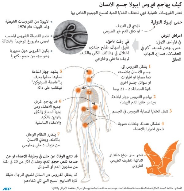 «إيبولا» يترك آثارا مدمرة على الدول التي انتشر فيها