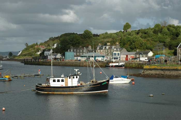 استطلاع يظهر زيادة حادة في التأييد لاستقلال اسكتلندا قبل 17 يوما من استفتاء