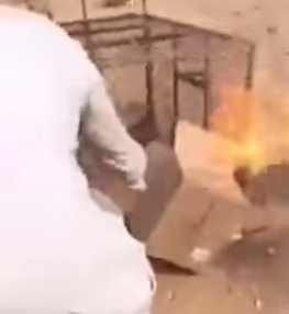 جناة يحرقون ثعلبا أكل 30 دجاجة - فيديو
