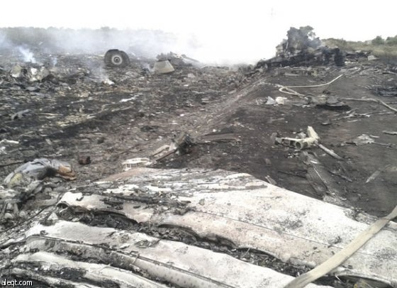 مجلس الأمن يناقش غدا تقريرا هولنديا بشأن إسقاط الطائرة الماليزية