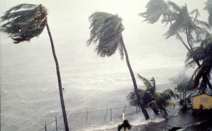 الإعصار "فانفون" يتجه لاجتياح طوكيو بأمطار غزيرة ورياح قوية