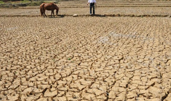 الصليب الأحمر : الجفاف يهدد نصف مليون شخص في هندوراس
