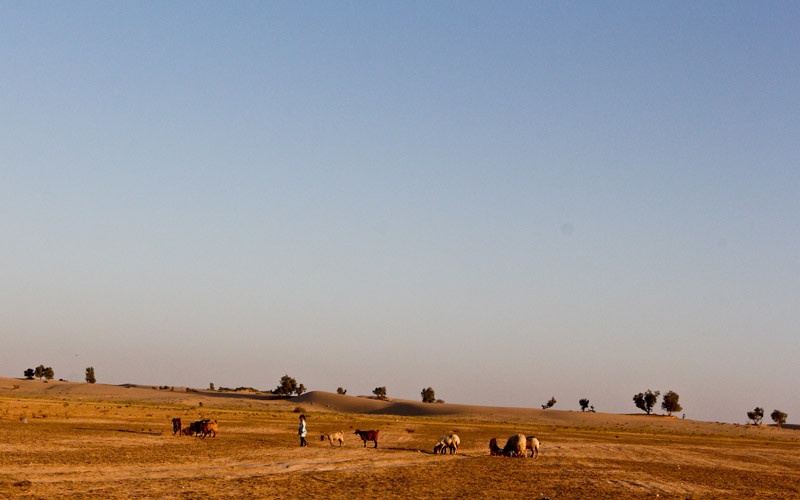 مصر تجلي مئات الأسر لإقامة منطقة عازلة على حدودها مع غزة