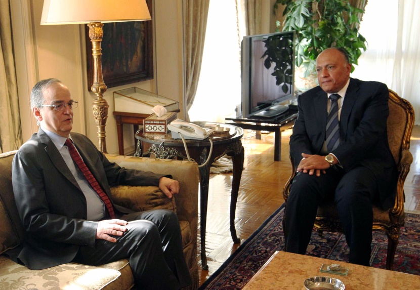 وزير الخارجية المصري يؤكد أهمية الحل السياسي للأزمة السورية