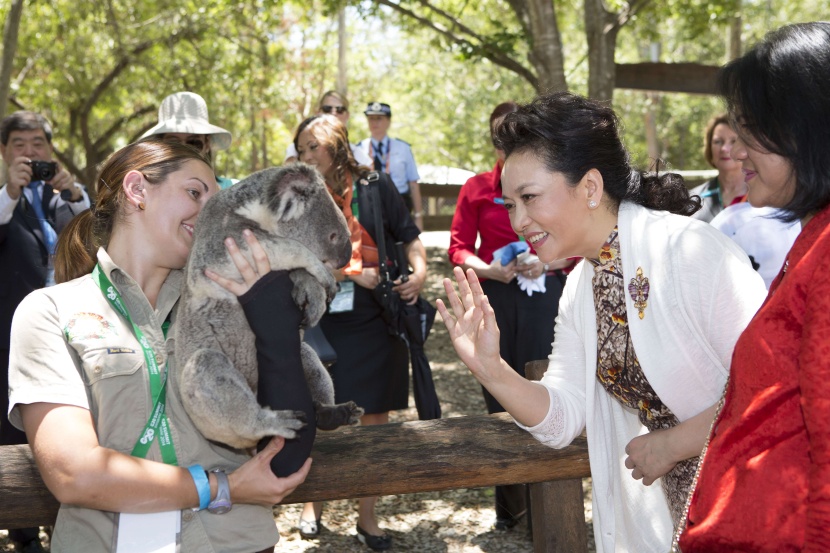 قصة مصورة:  قادة دول مجموعة العشرين وزوجاتهم  يداعبون "الدب كوالا"