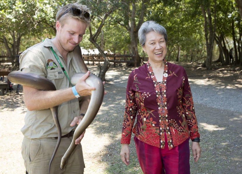 قصة مصورة:  قادة دول مجموعة العشرين وزوجاتهم  يداعبون "الدب كوالا"