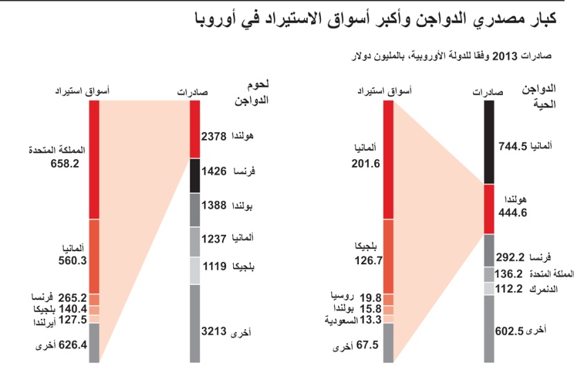 السعودية خامس سوق لاستيراد الدواجن الحية من أوروبا
