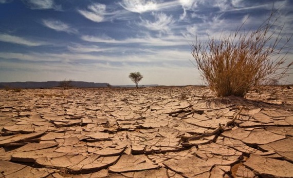 دراسة : تزايد الموجات الحارة في المدن وتراجع الباردة