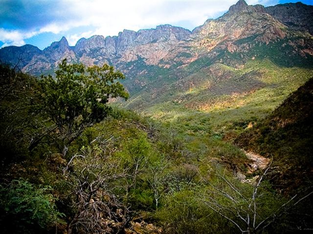 زلزال قوته 5.4 درجة يضرب جزيرة سقطرى اليمنية بالمحيط الهندي