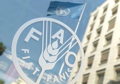 " الفاو " تضيف واحتي نخيل بالإمارات إلى التراث الزراعي العالمي