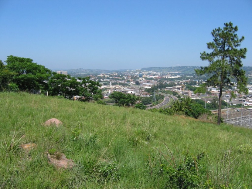 المفوضية الأوروبية تتهم ألمانيا بالتقصير في الحفاظ على المحميات الطبيعية