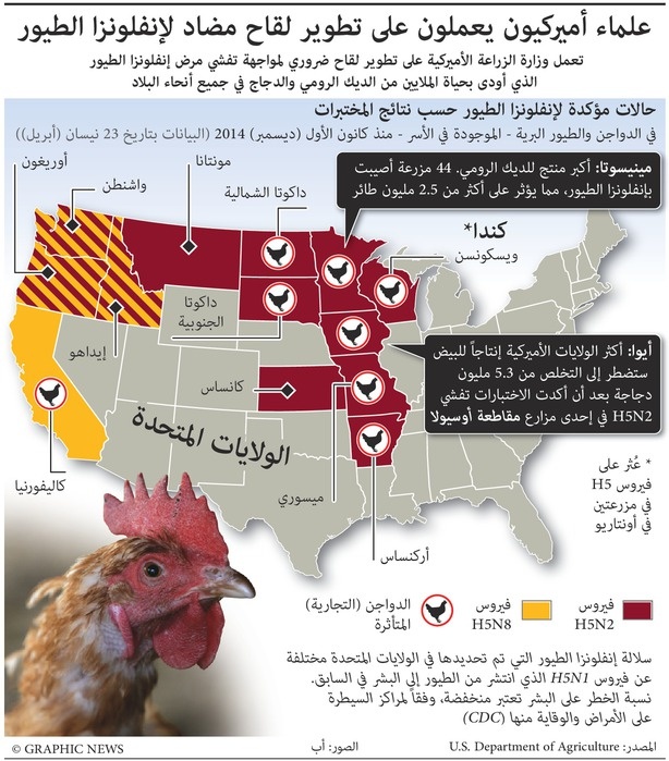 الولايات المتحدة: إنفلونزا الطيور في 13 ولاية أمريكية