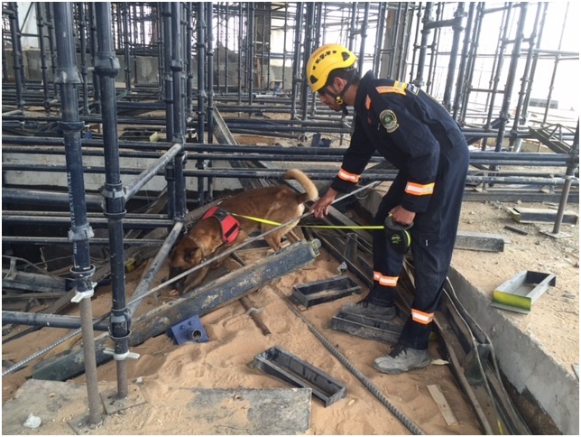 استخراج جثث شخصين في انهيار مبنى جامعة القصيم