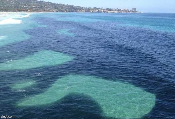 عملية إزالة البقعة النفطية في كاليفورنيا ربما تستغرق شهورا