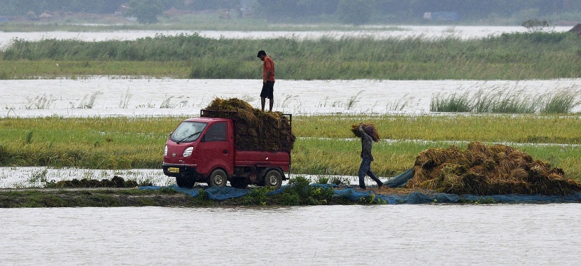 قصة مصورة: فيضانات الهند