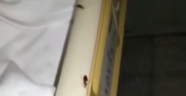 إعفاء مدير مستشفى الملك فهد في جدة