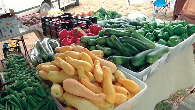 "الزراعة الامريكية" توصي بتشديد الرقابة على المحاصيل المعدلة وراثيا