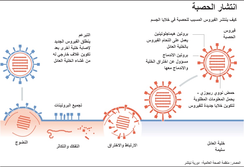 انتشار الحصبة