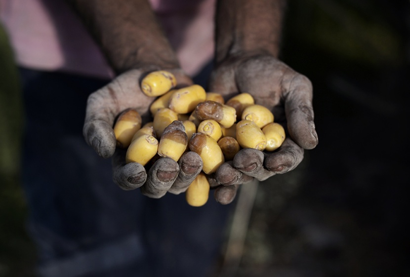 قصة رمضانية مصورة (19)