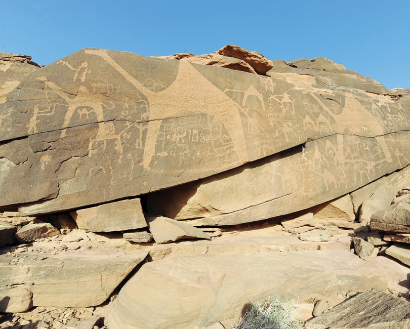 «كنوز الوطن» لم تعد مدفونة .. تنافس عالميا وتربح