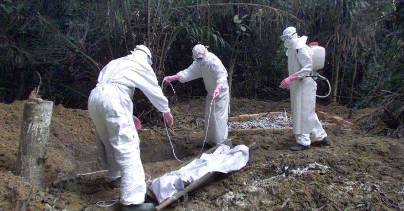 بعد الايبولا.. الأمم المتحدة قلقة من انتشار انفلونزا الطيور في أفريقيا