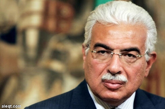 السجن خمس سنوات لنظيف رئيس وزراء مصر الأسبق في قضية فساد