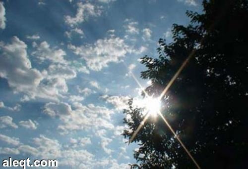 ارتفاع عدد ضحايا الموجة الحارة في مصر إلى 87