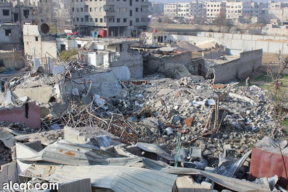 نبيل العربي يدين بشدة استمرار القصف العشوائي لمدينة دوما السورية