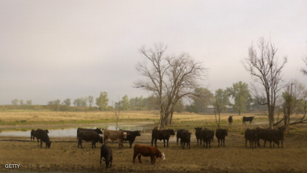 الجفاف يجتاح أمريكا الوسطى والكاريبي
