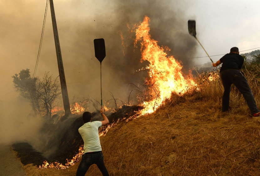 قصة مصورة: إجلاء آلاف الأشخاص في إسبانيا بسبب حرائق الغابات