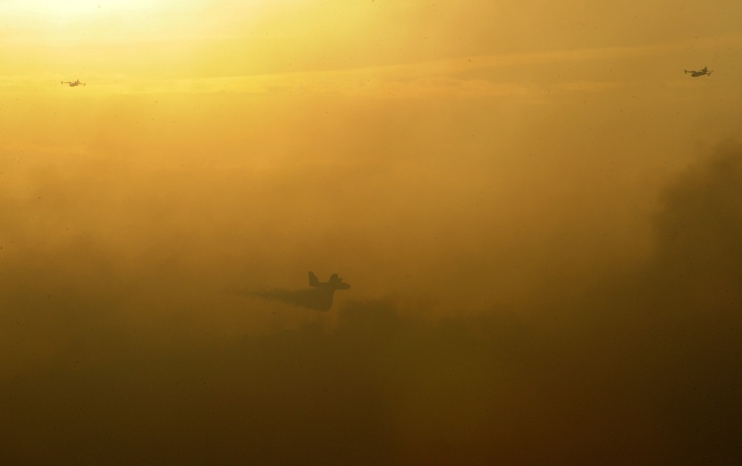 قصة مصورة: إجلاء آلاف الأشخاص في إسبانيا بسبب حرائق الغابات